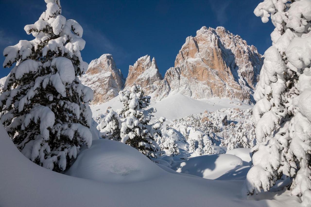Hotel Chalet Sas Morin Pozza di Fassa Esterno foto